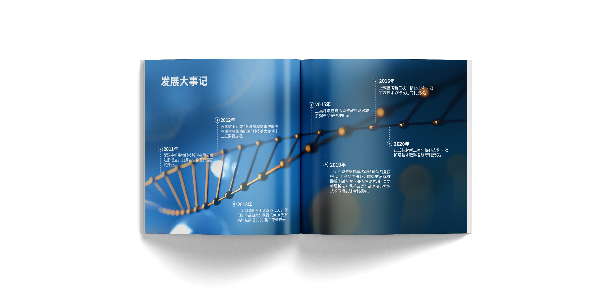 公司宣传册设计 企业画册设计